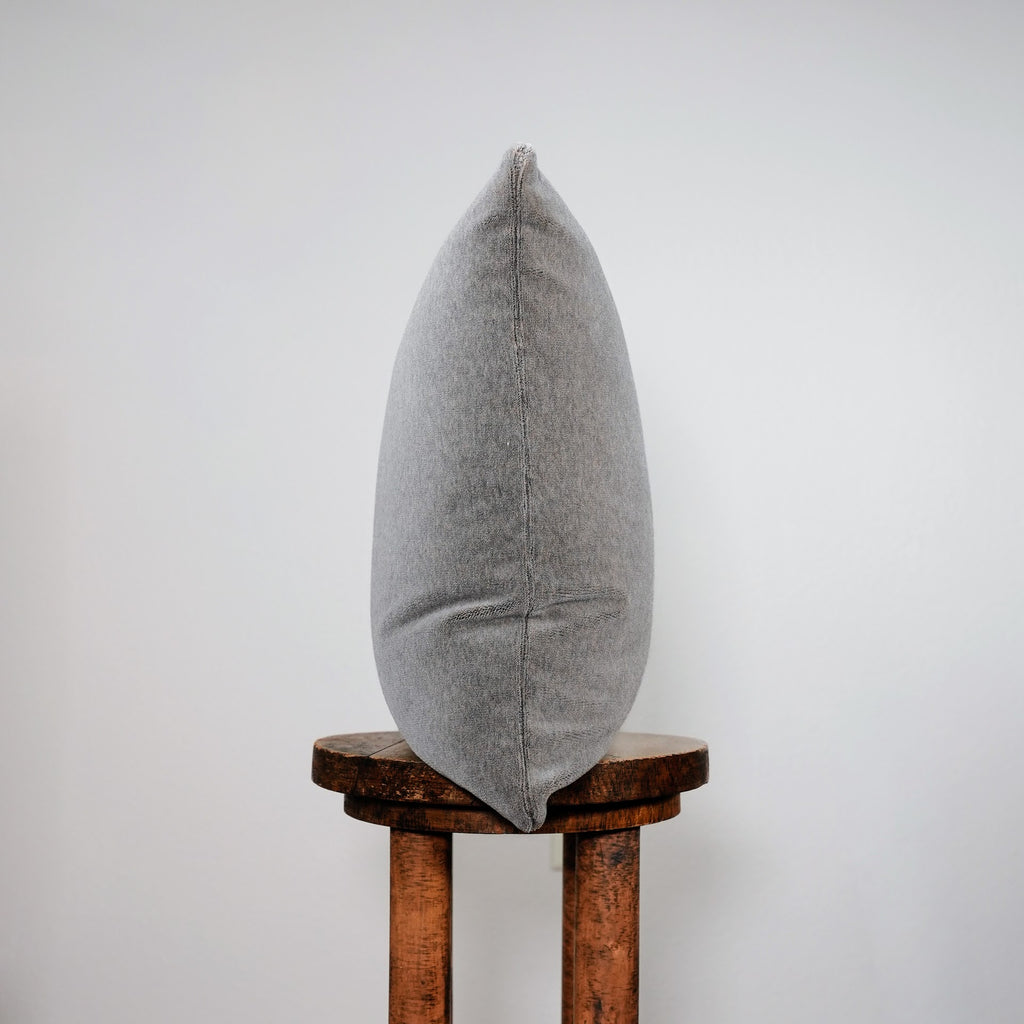 Hippopotamus Grey Velvet Pillow 18x18