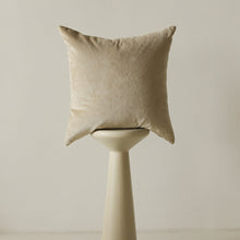 Load image into Gallery viewer, Pillow No. 10 - 18x18
